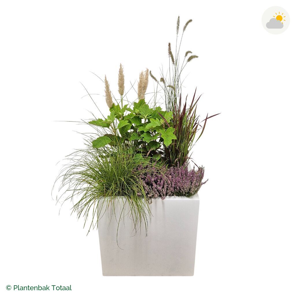 productfoto van plantenbak Fiberstone Block Hoogglans Wit Set Veluwe