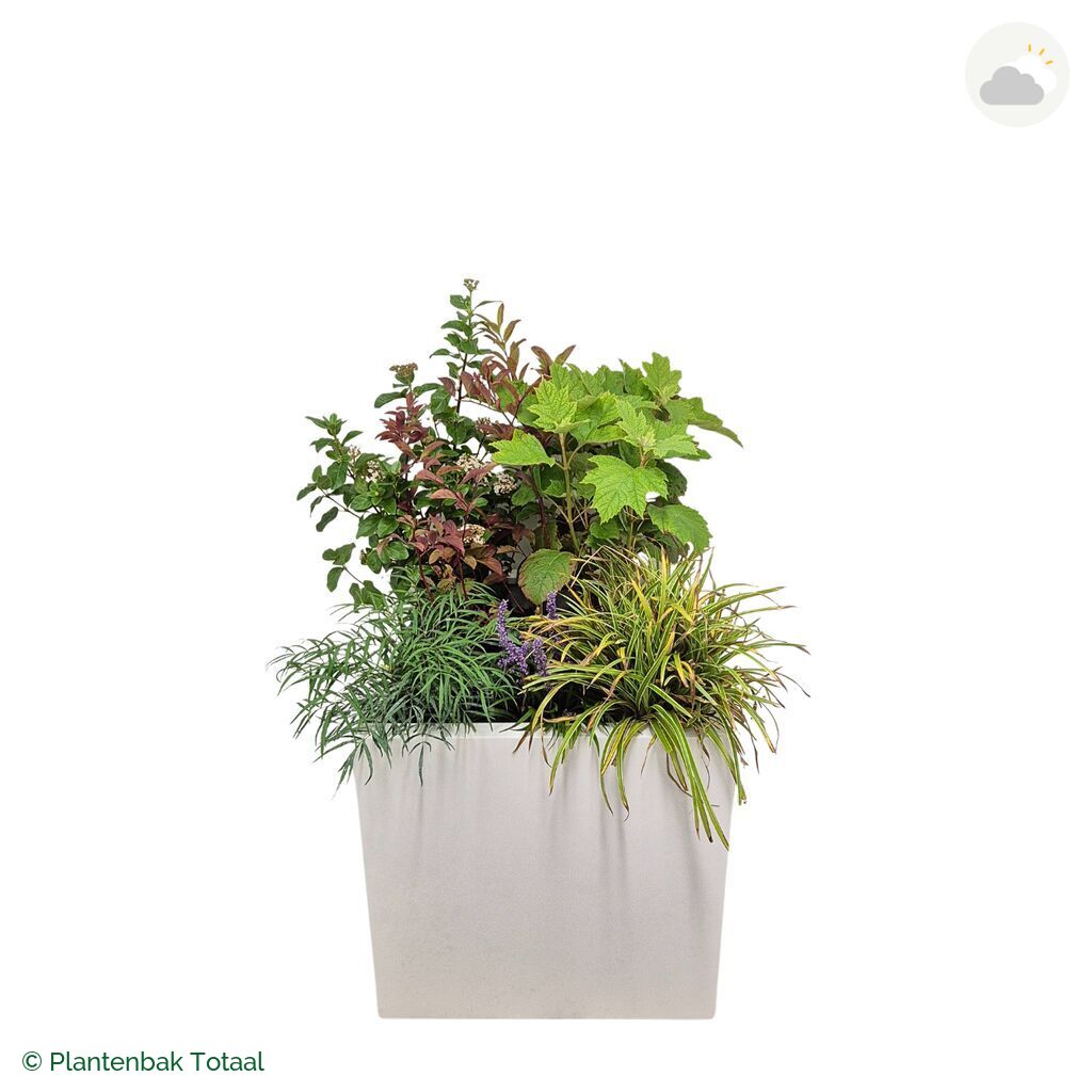 productfoto van plantenbak Fiberstone Block Hoogglans Wit Set York