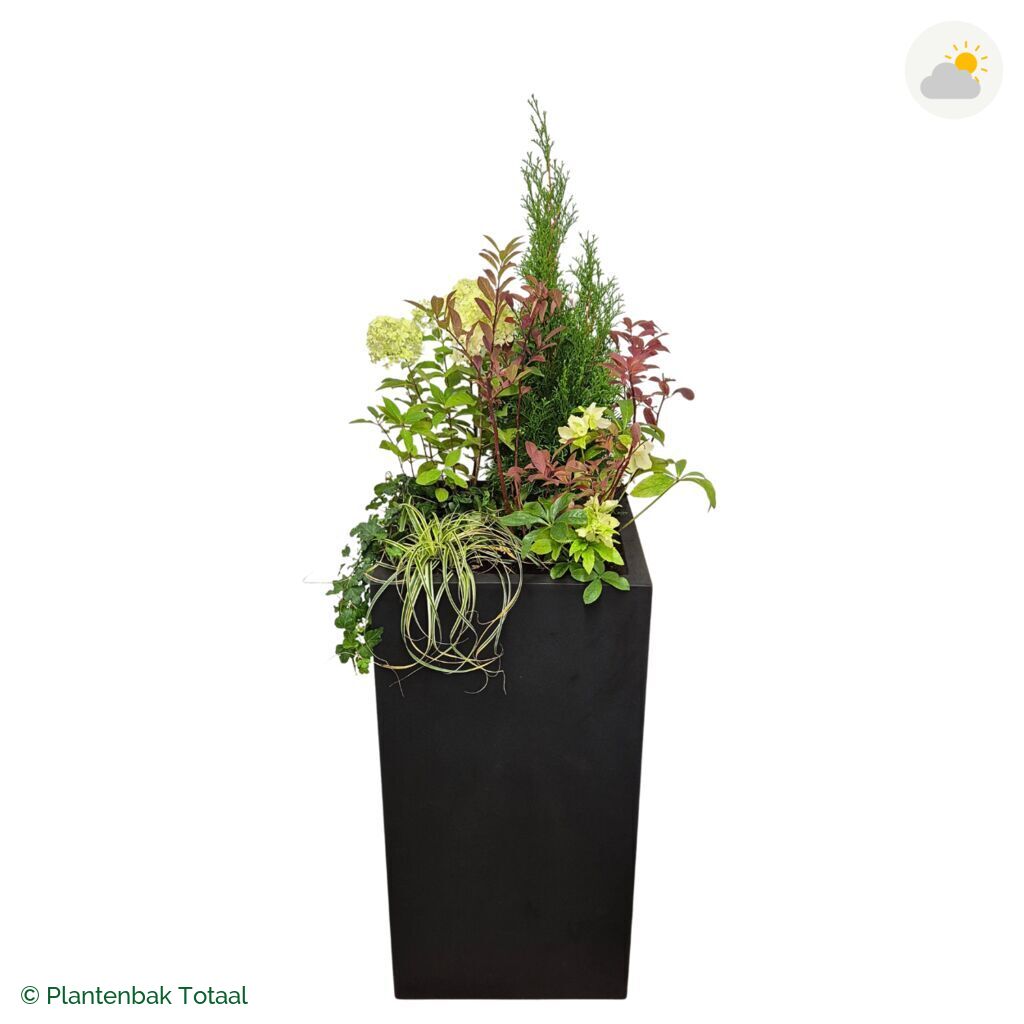 productfoto van plantenbak Fiberstone Bouvy XL Set Ardennen