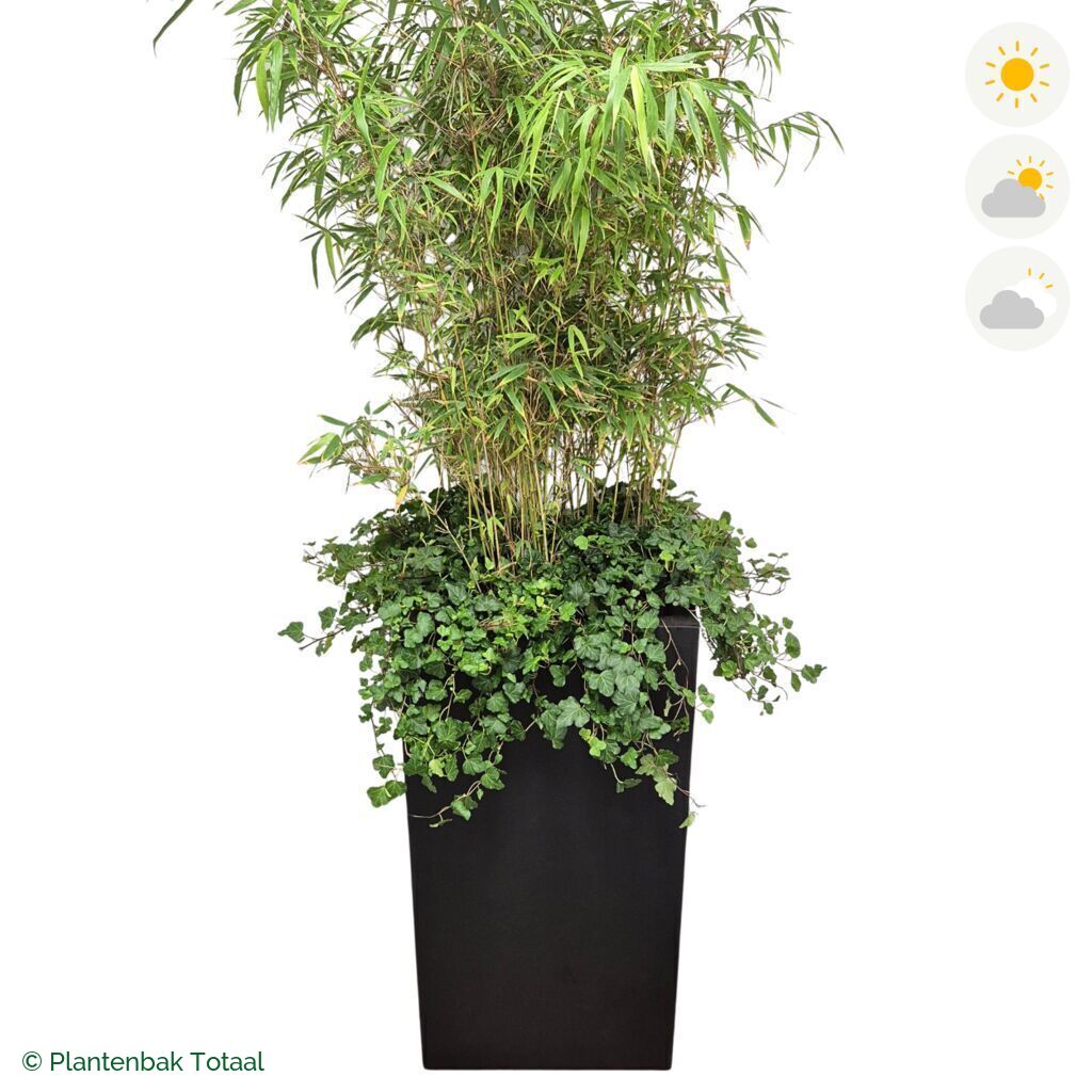 productfoto van plantenbak Fiberstone Bouvy XL Bamboe Combinatie