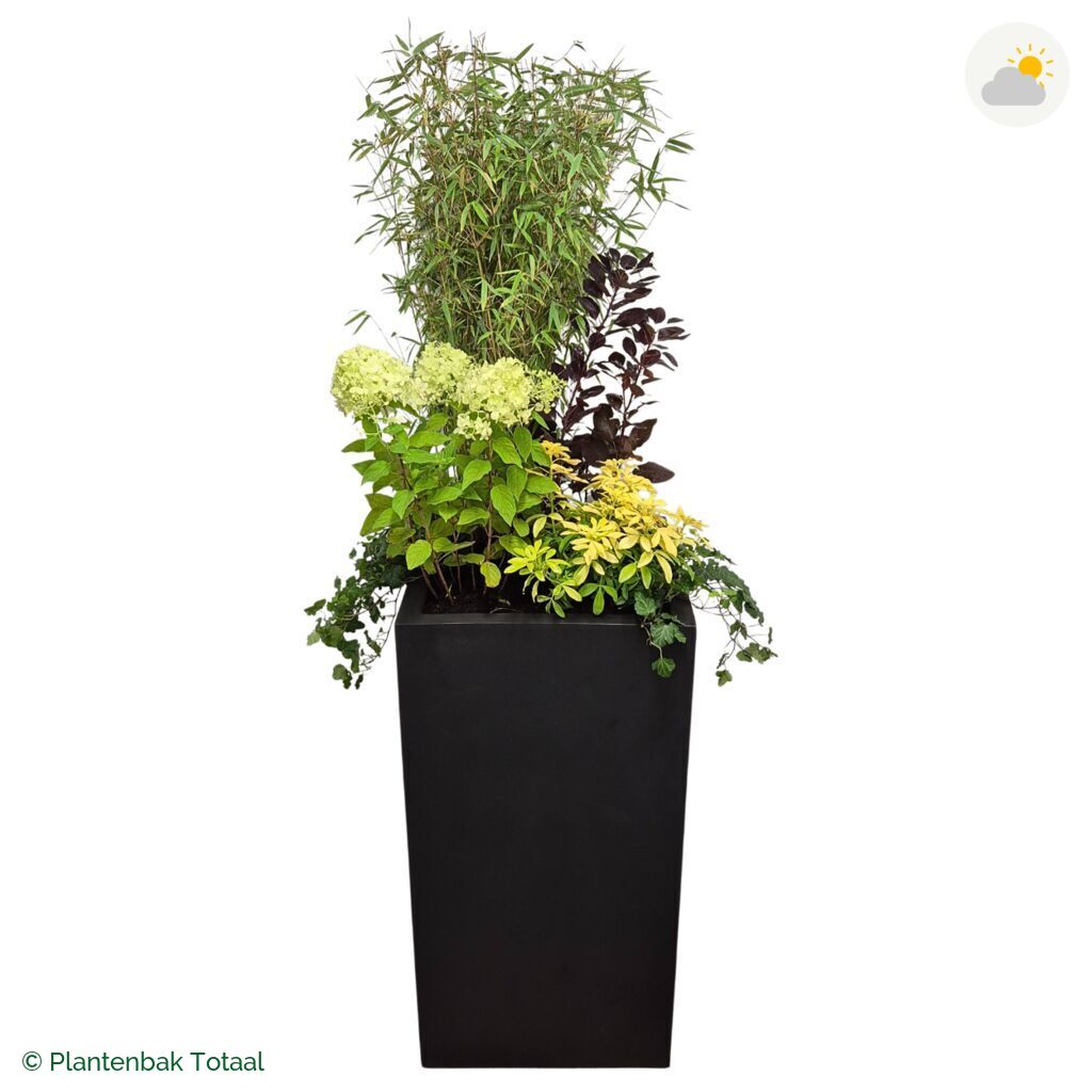 productfoto van plantenbak Fiberstone Bouvy XL Set Bohemen