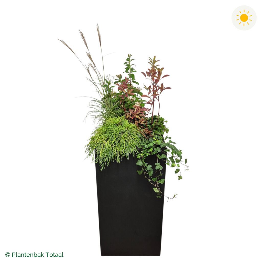 productfoto van plantenbak Fiberstone Bouvy XL Set Bretagne