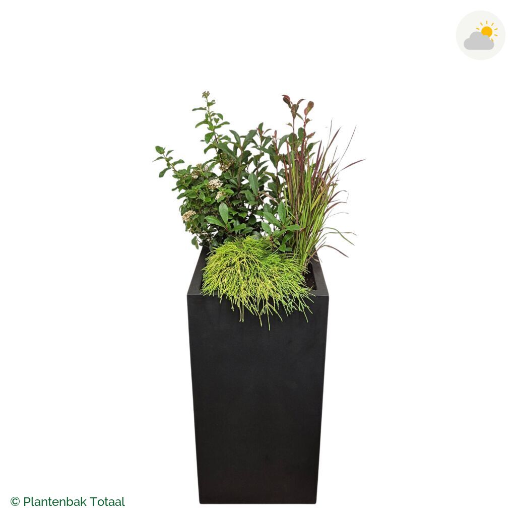 productfoto van plantenbak Fiberstone Bouvy XL Set Eifel