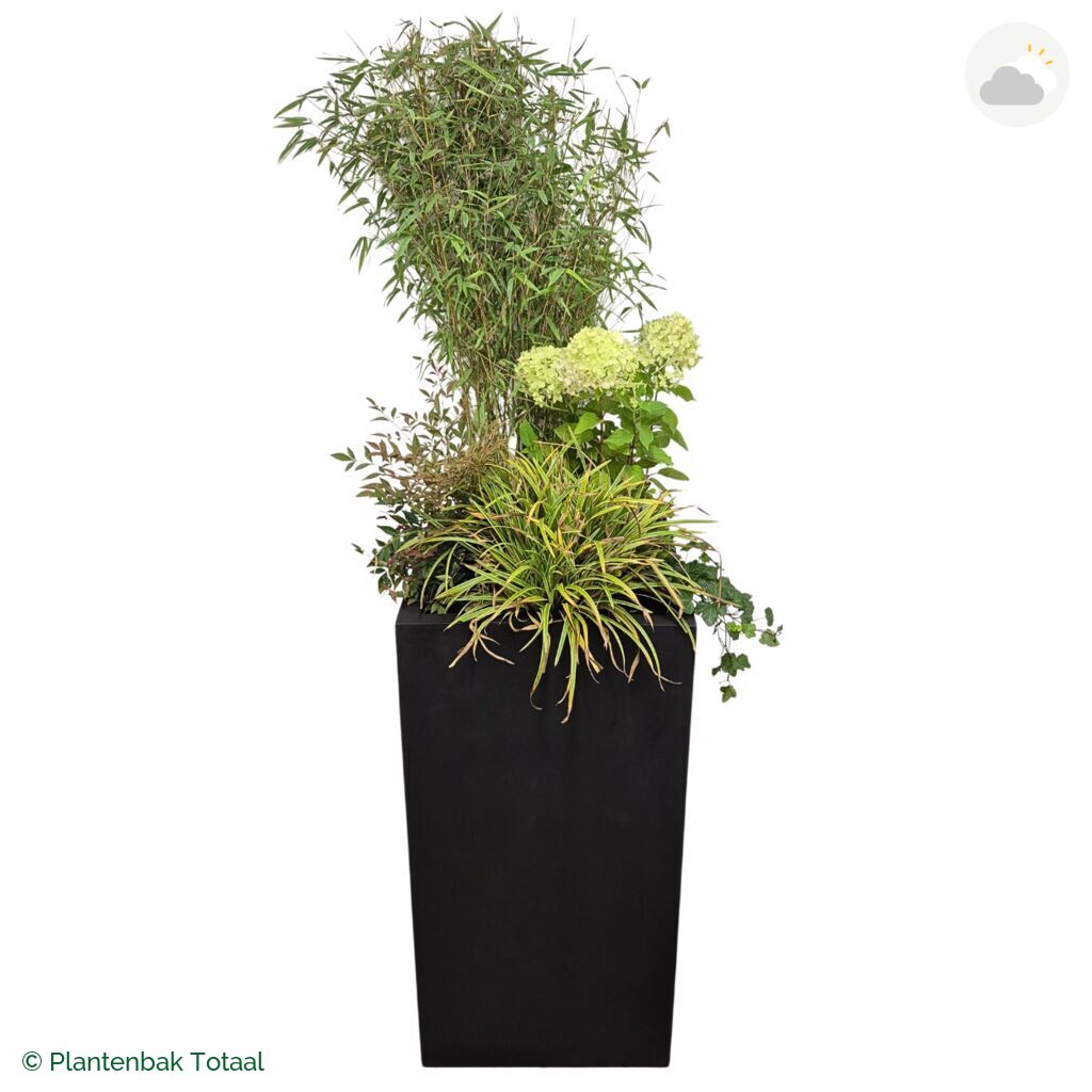 productfoto van plantenbak Fiberstone Bouvy XL Set Himalaya