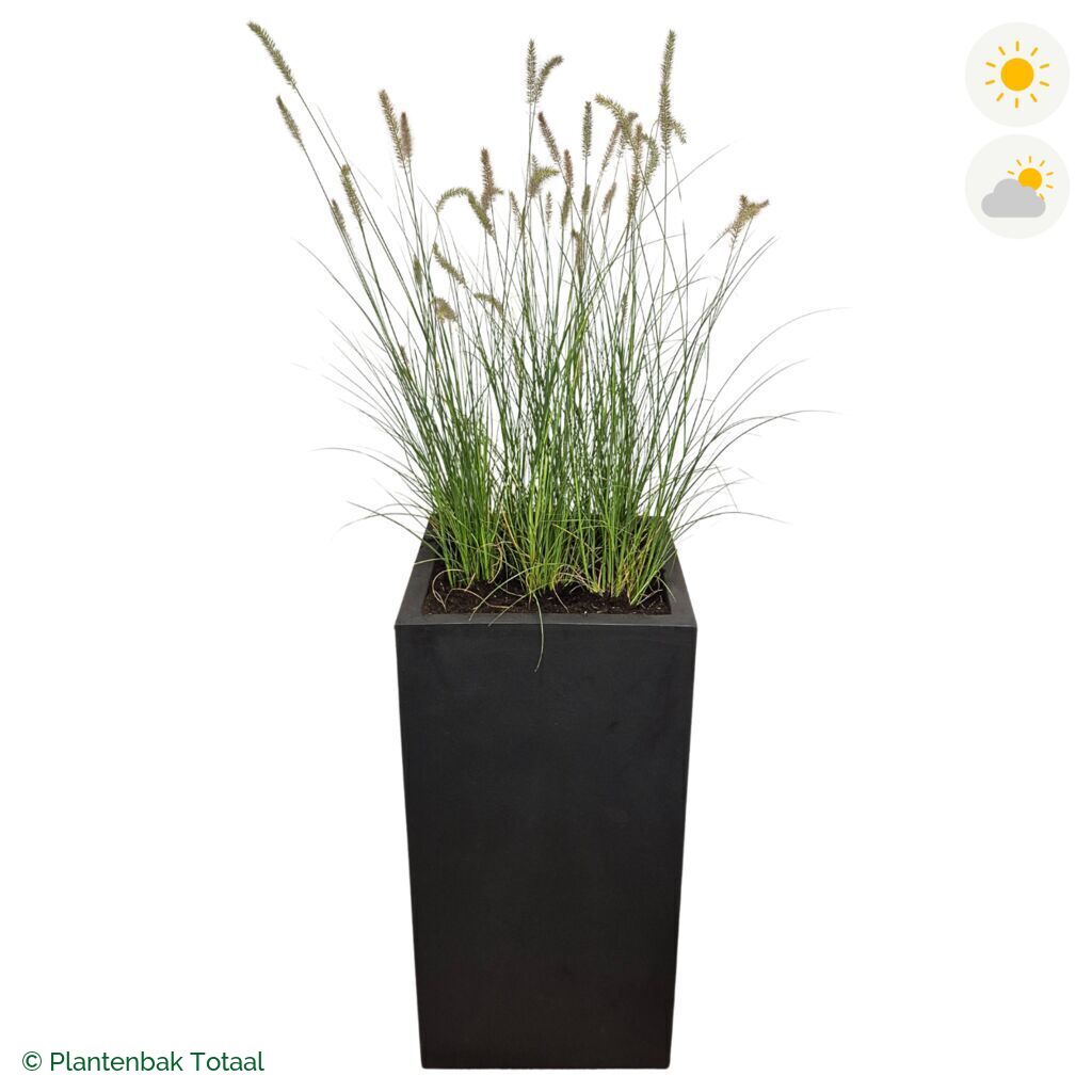 productfoto van plantenbak Fiberstone Bouvy XL Lampenpoetsersgras