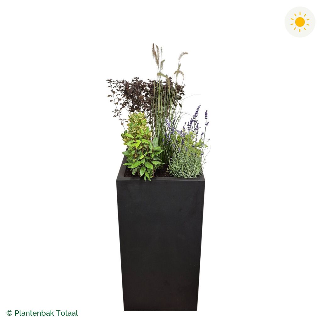 productfoto van plantenbak Fiberstone Bouvy XL Set Provence