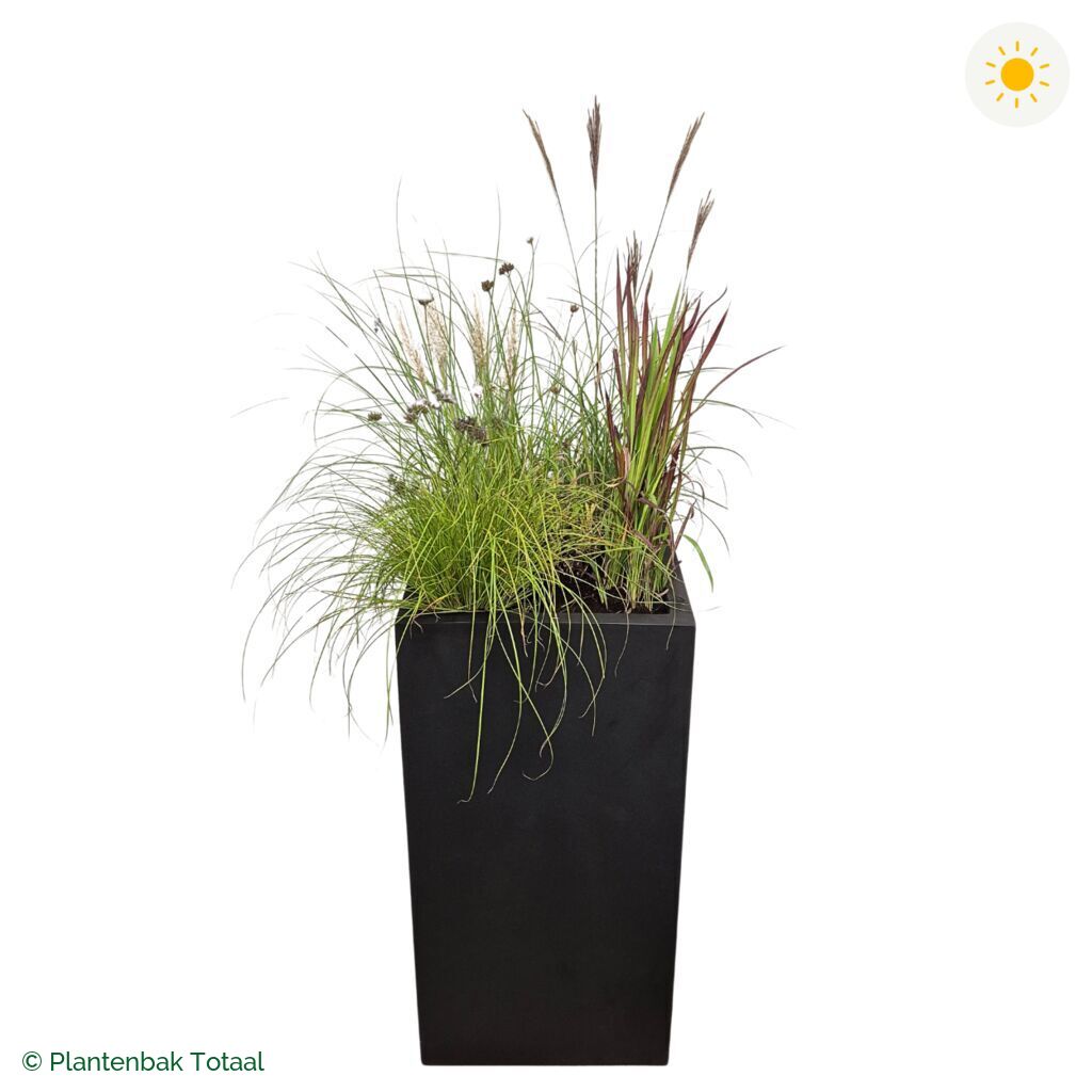 productfoto van plantenbak Fiberstone Bouvy XL Set Savanne