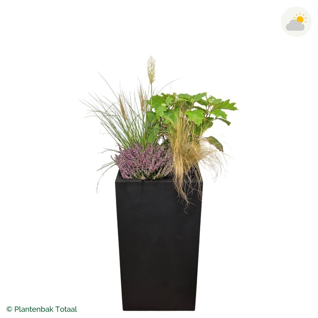 productfoto van plantenbak Fiberstone Bouvy XL Set Veluwe