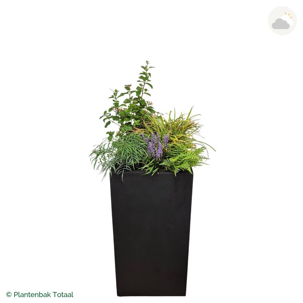 productfoto van plantenbak Fiberstone Bouvy XL Set York