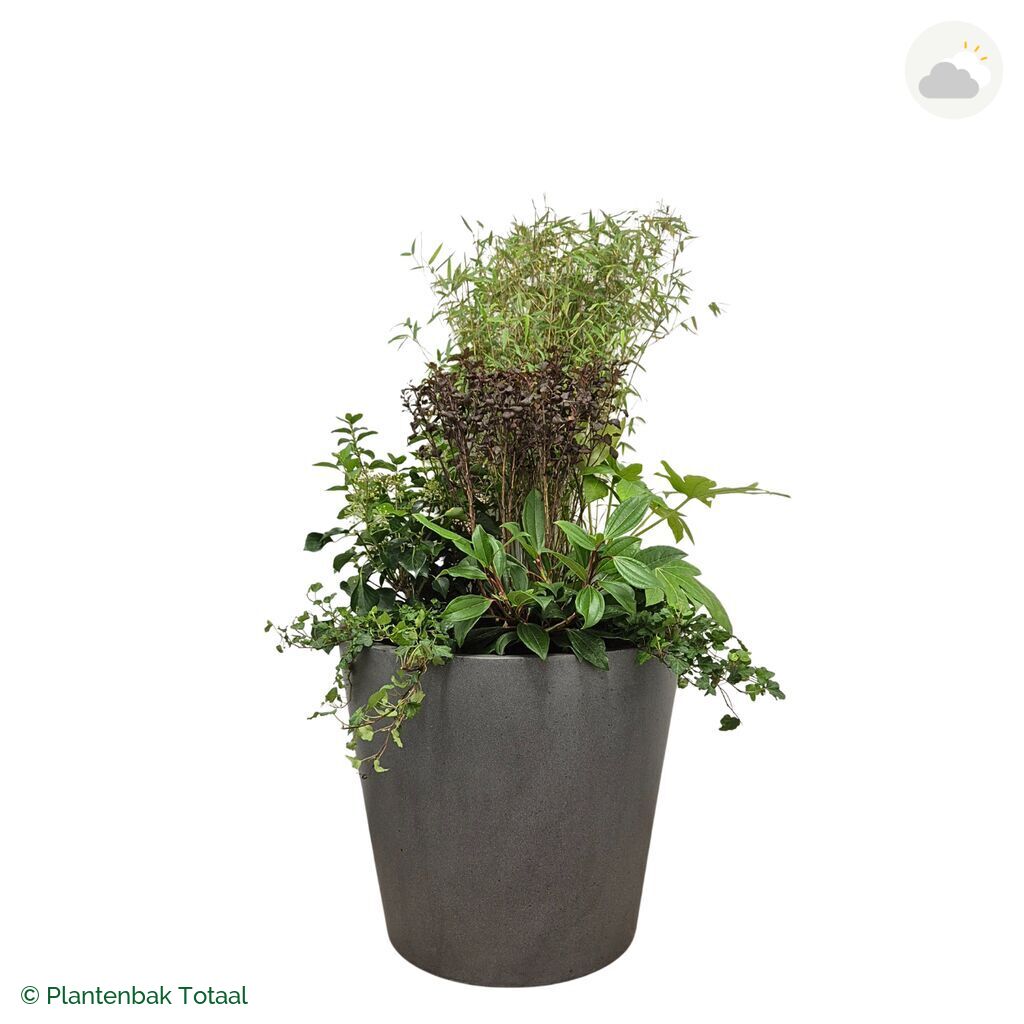 productfoto van plantenbak Fiberstone Bucket Set Amazone