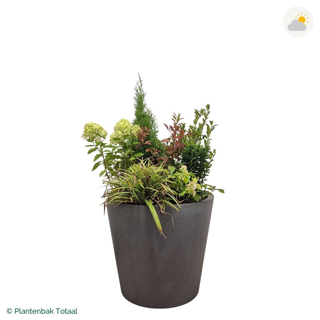 productfoto van plantenbak Fiberstone Bucket Set Ardennen