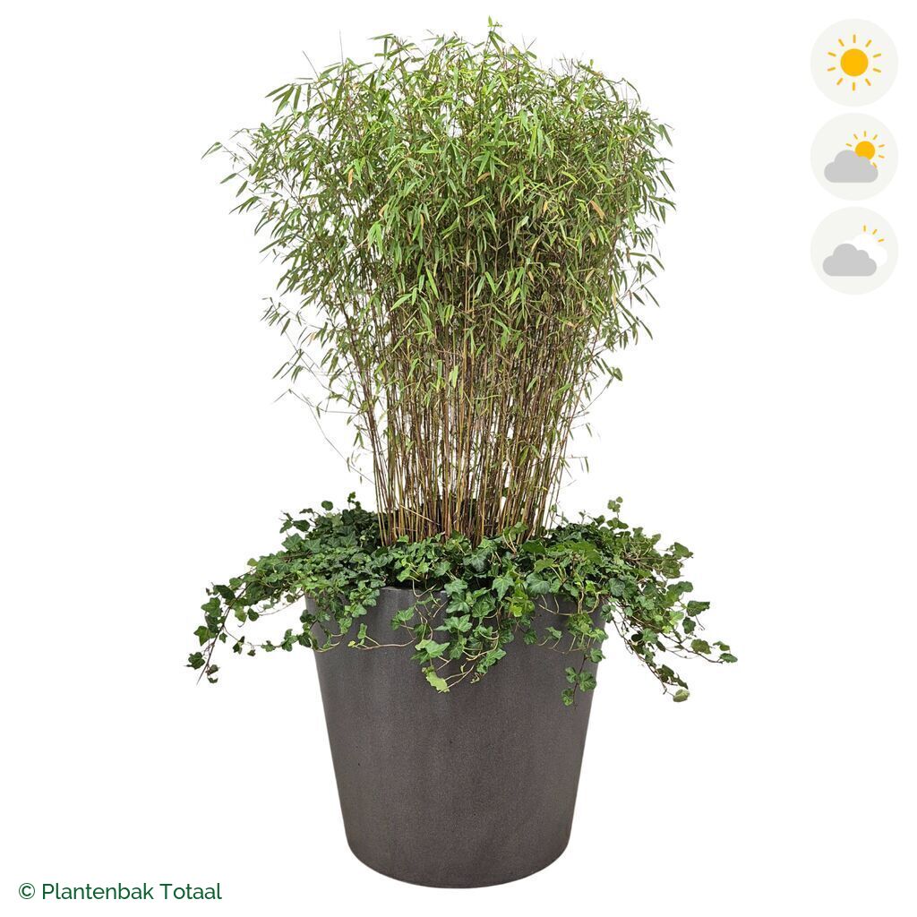 productfoto van plantenbak Fiberstone Bucket Bamboe Combinatie