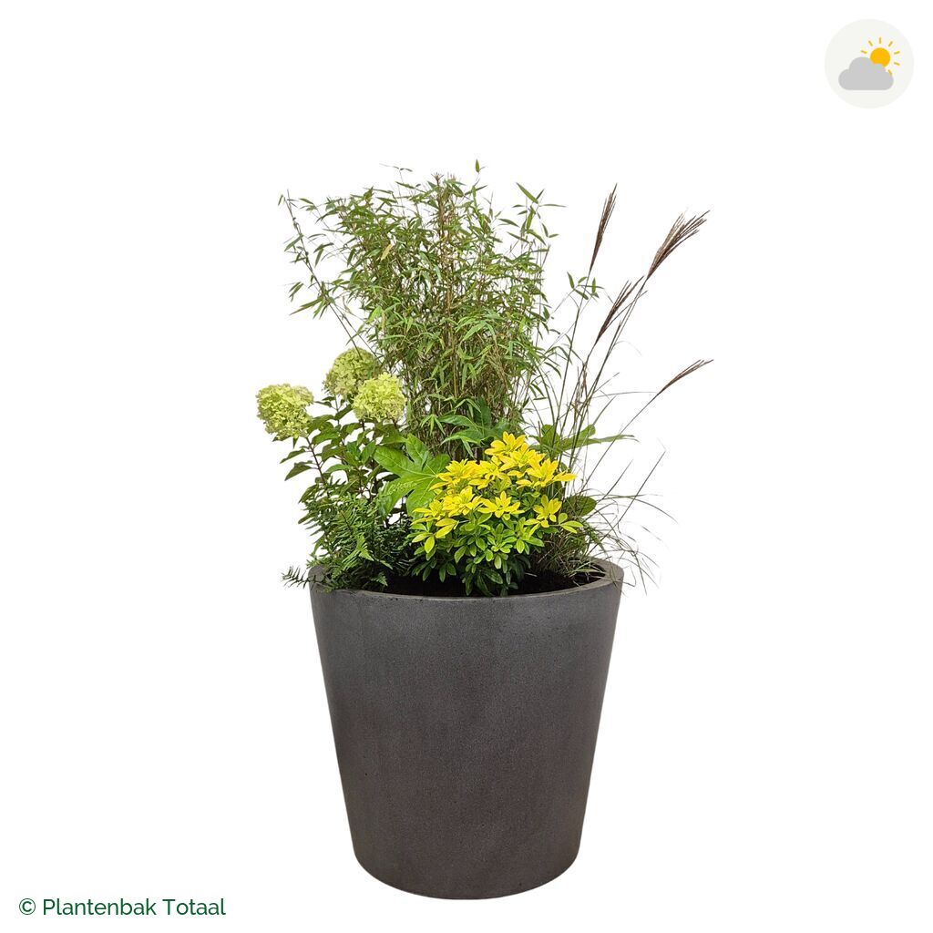 productfoto van plantenbak Fiberstone Bucket Set Bohemen