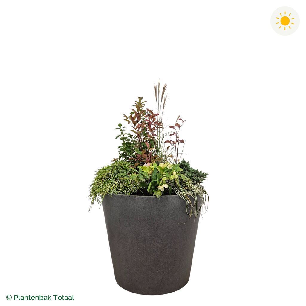 productfoto van plantenbak Fiberstone Bucket Set Bretagne