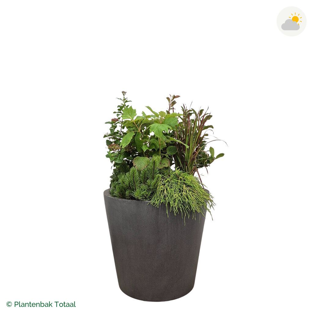 productfoto van plantenbak Fiberstone Bucket Set Eifel