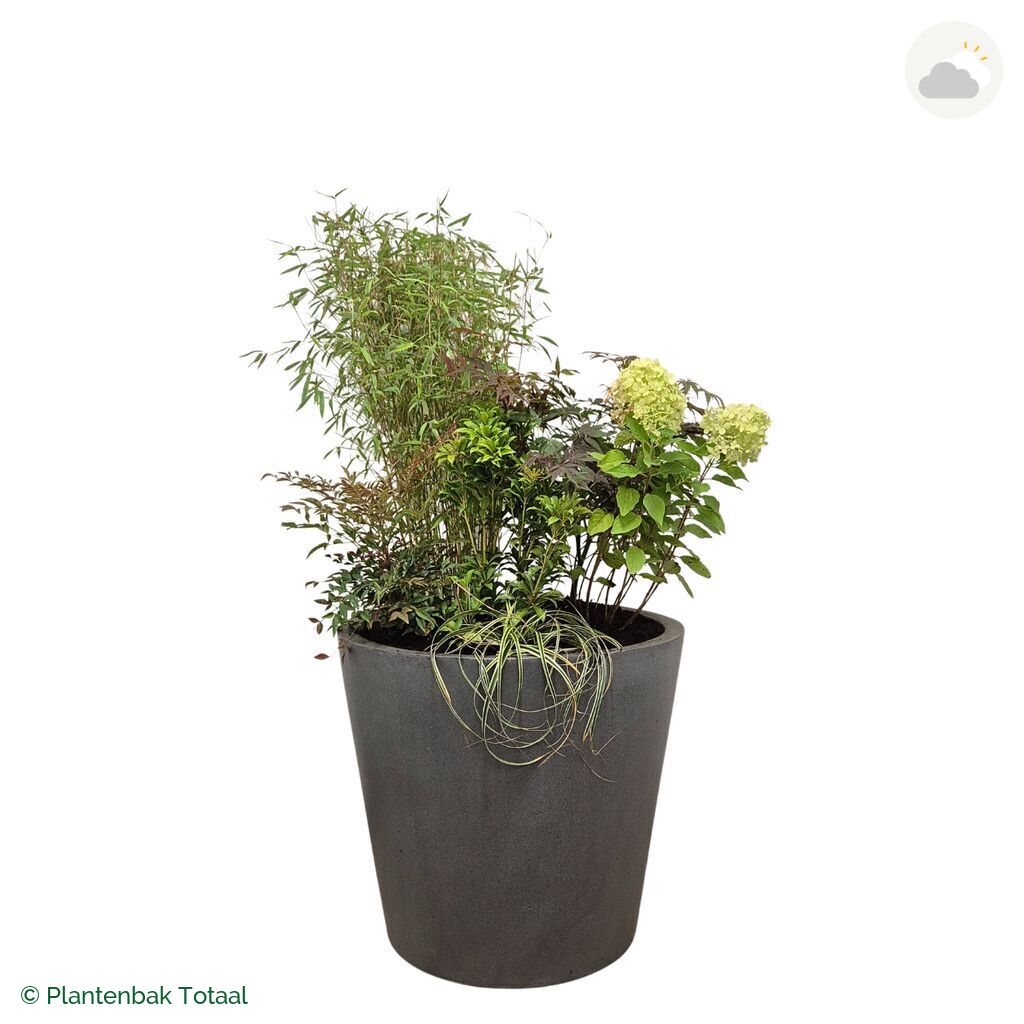 productfoto van plantenbak Fiberstone Bucket Set Himalaya