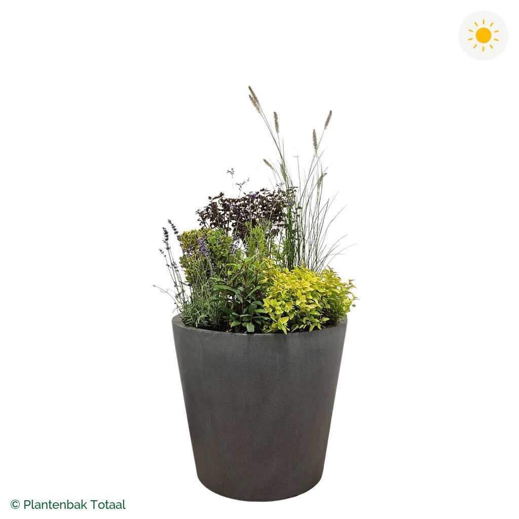 productfoto van plantenbak Fiberstone Bucket Set Provence
