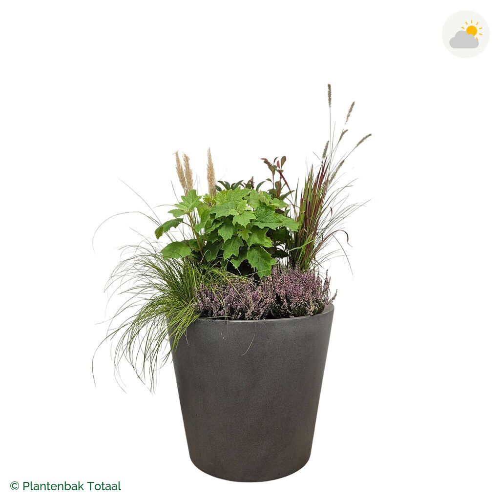 productfoto van plantenbak Fiberstone Bucket Set Veluwe