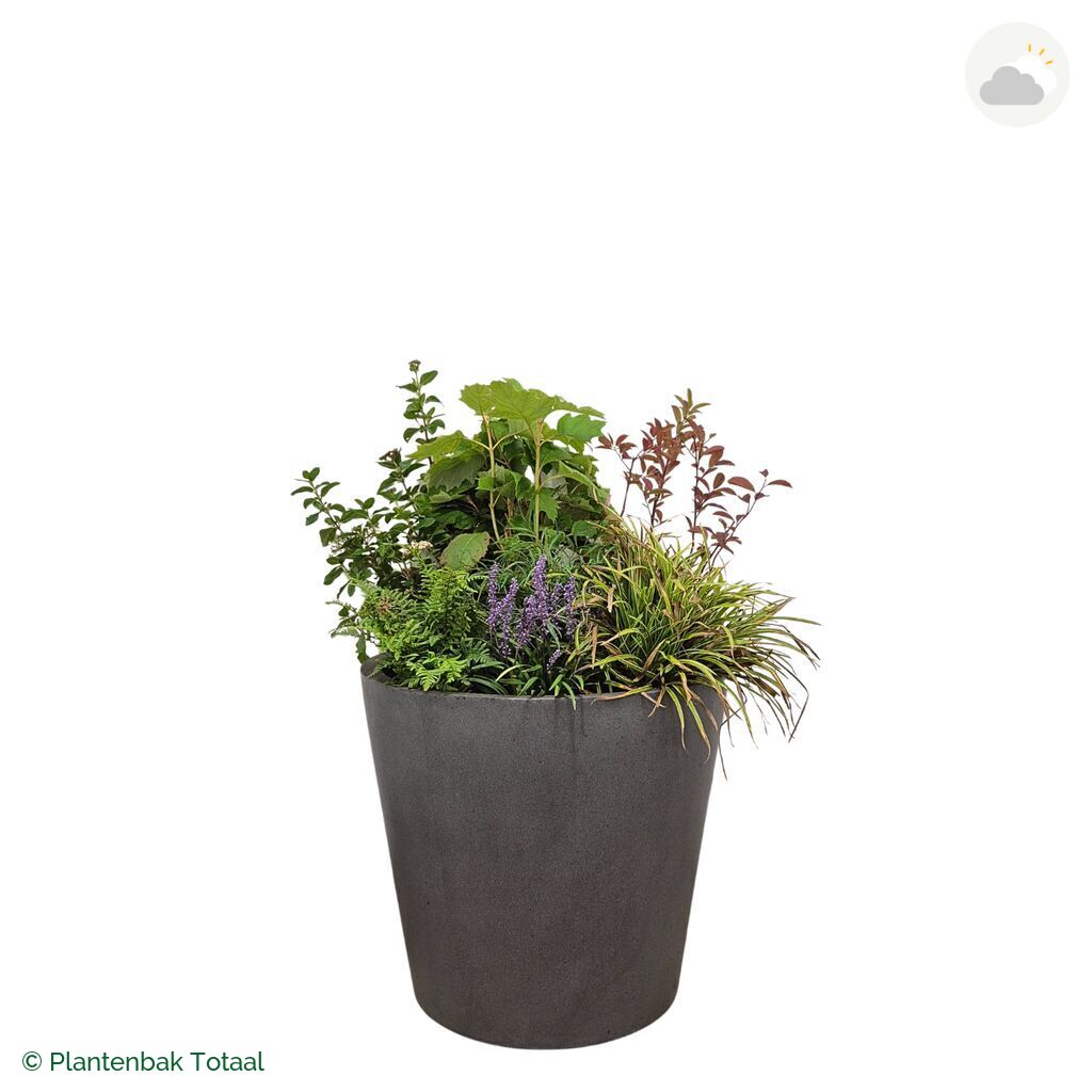 productfoto van plantenbak Fiberstone Bucket Set York