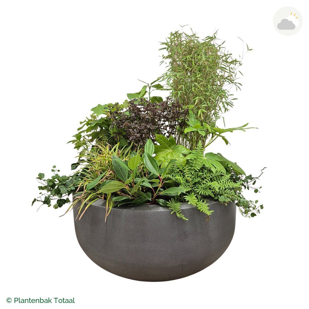 productfoto van plantenbak Fiberstone City Bowl Set Amazone