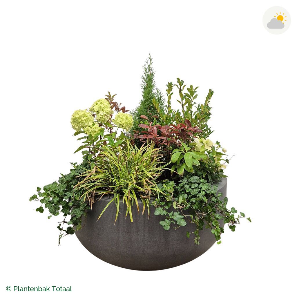 productfoto van plantenbak Fiberstone City Bowl Set Ardennen