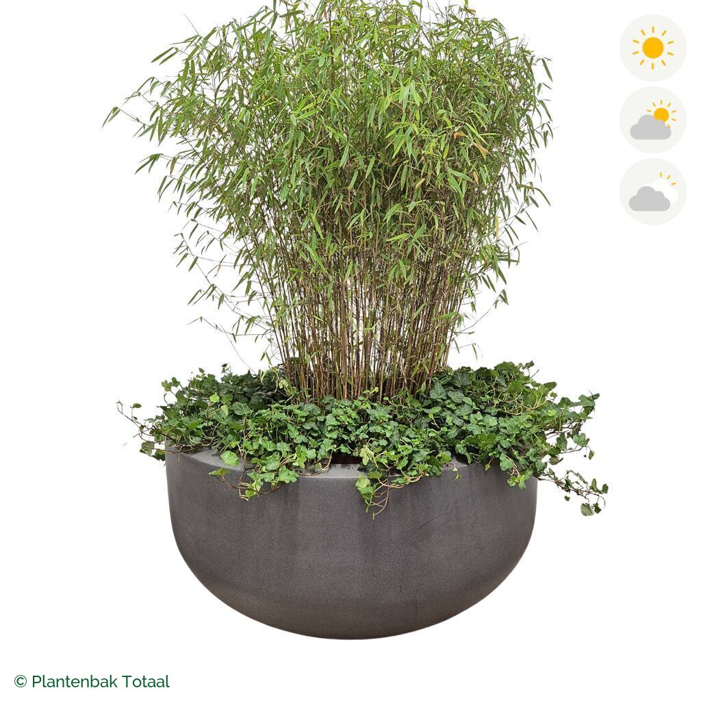 productfoto van plantenbak Fiberstone City Bowl Bamboe Combinatie