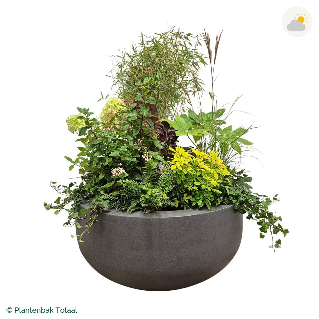 productfoto van plantenbak Fiberstone City Bowl Set Bohemen