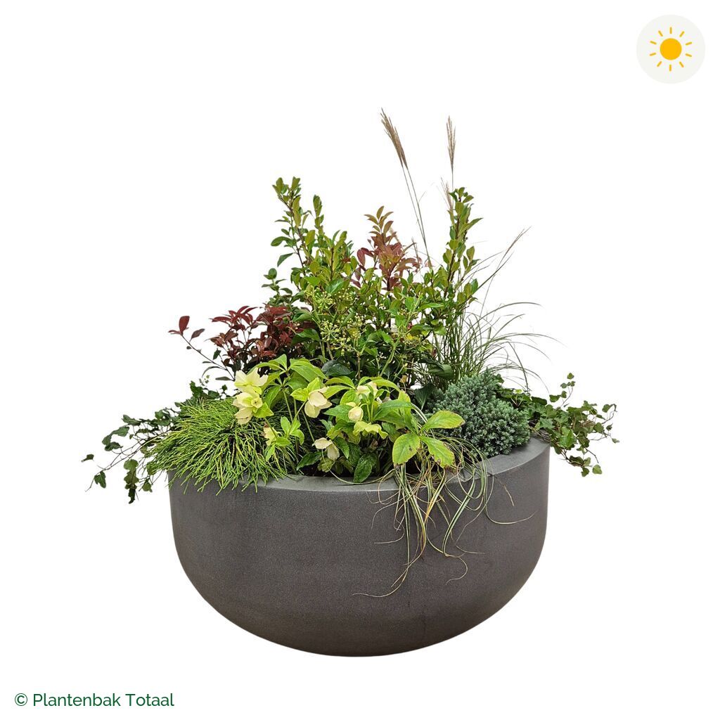 productfoto van plantenbak Fiberstone City Bowl Set Bretagne