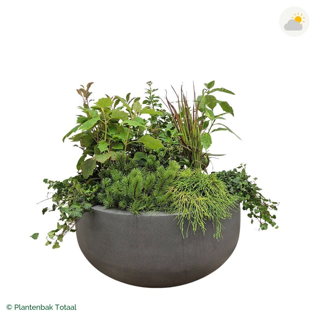productfoto van plantenbak Fiberstone City Bowl Set Eifel