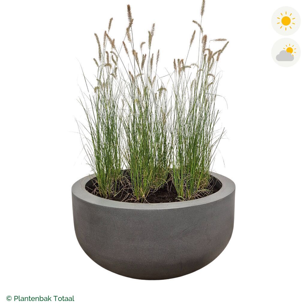 productfoto van plantenbak Fiberstone City Bowl Lampenpoetsersgras