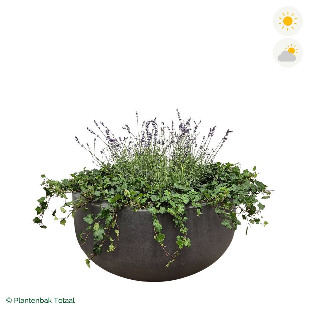 productfoto van plantenbak Fiberstone City Bowl Lavendel Combinatie