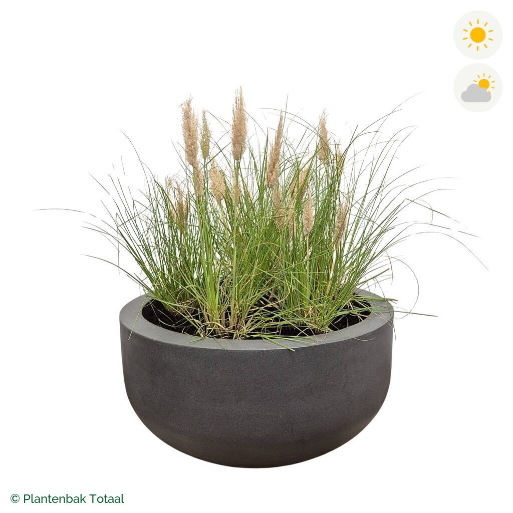 productfoto van plantenbak Fiberstone City Bowl Pampasgras