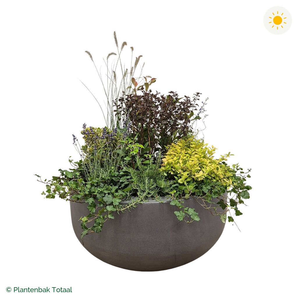 productfoto van plantenbak Fiberstone City Bowl Set Provence