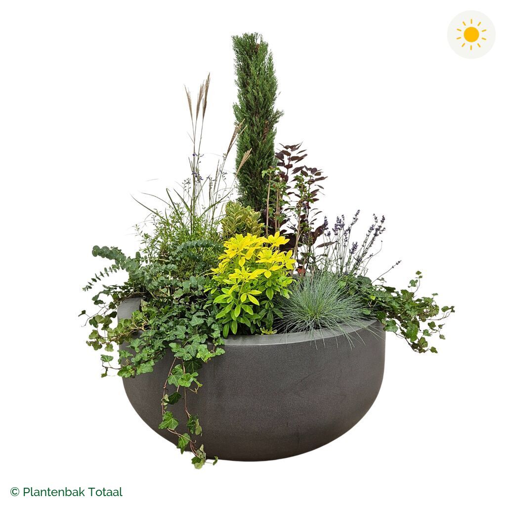 productfoto van plantenbak Fiberstone City Bowl Set Toscane