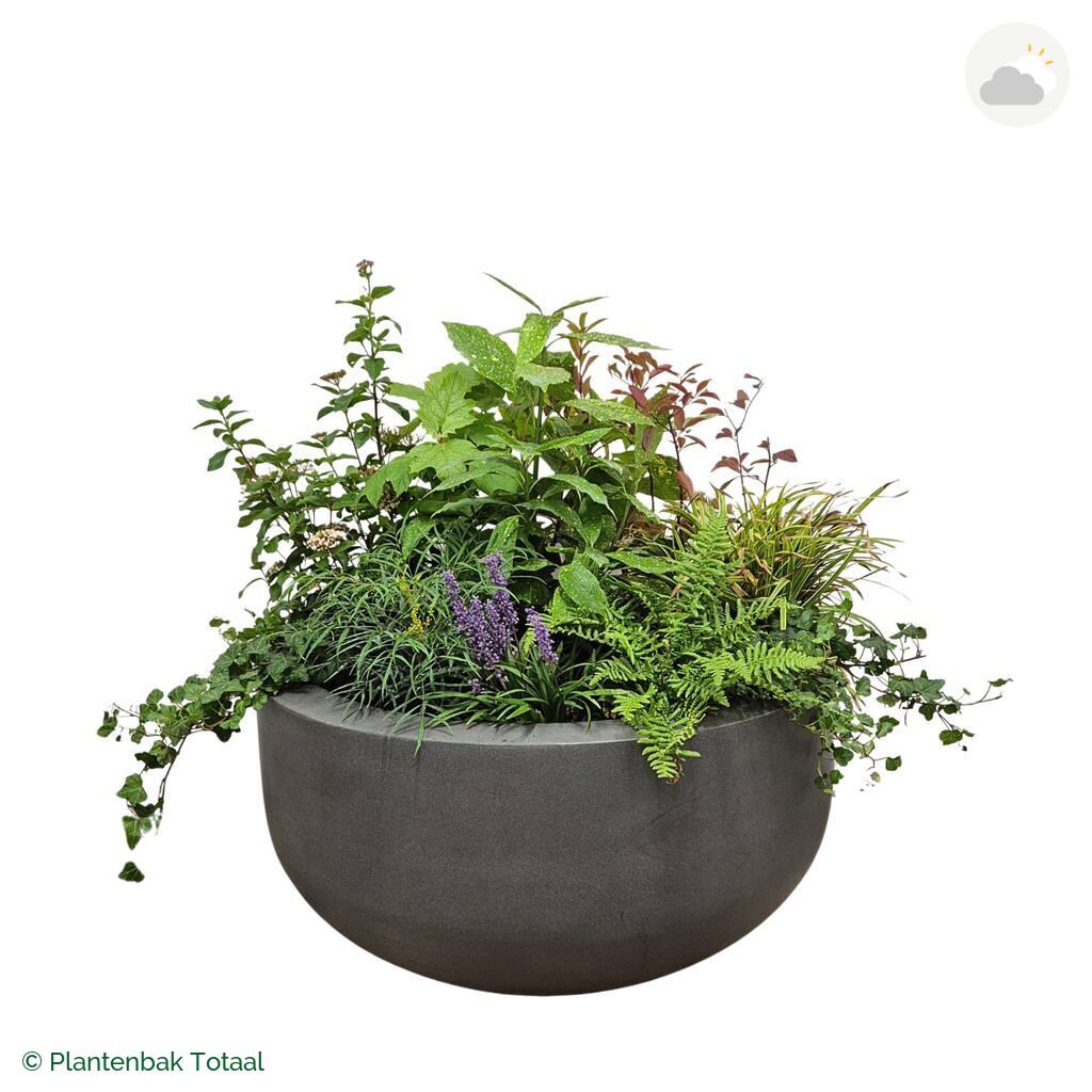 productfoto van plantenbak Fiberstone City Bowl Set York