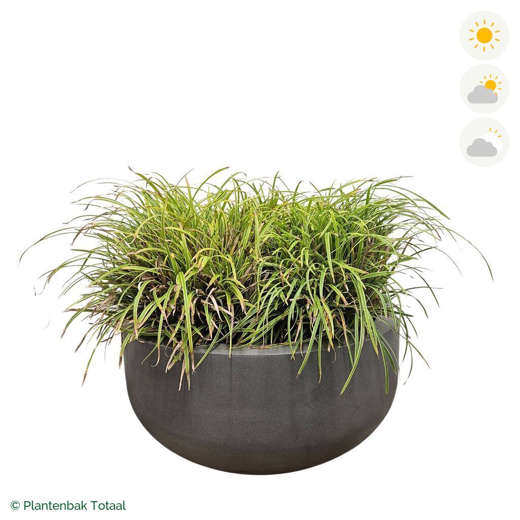 productfoto van plantenbak Fiberstone City Bowl Zegge