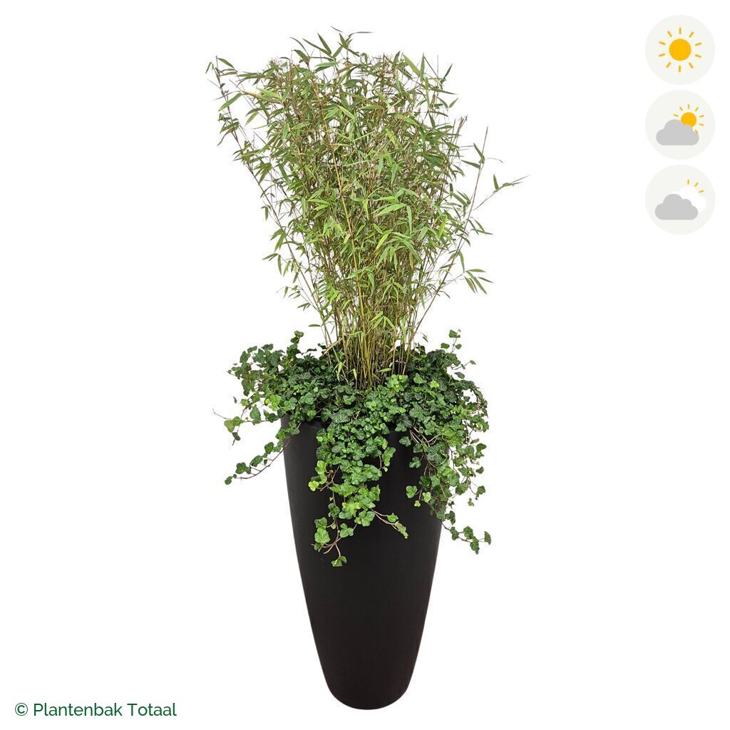 productfoto van plantenbak Fiberstone Dax Bamboe Combinatie
