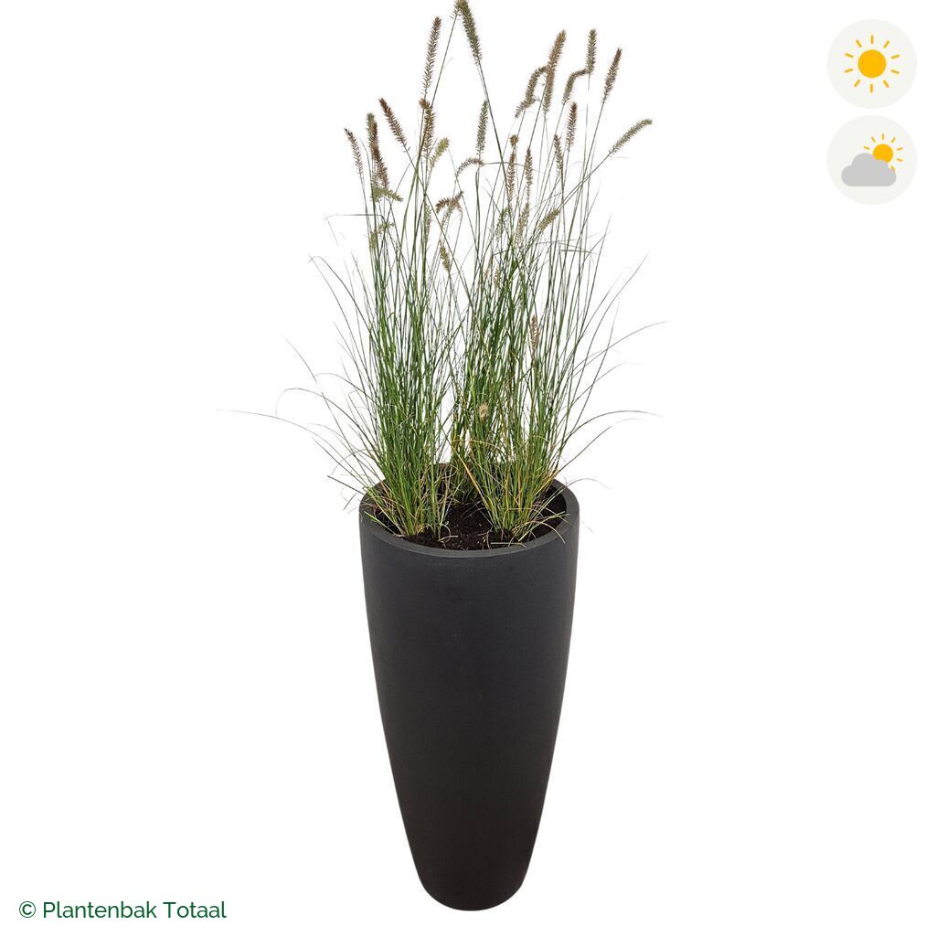 productfoto van plantenbak Fiberstone Dax Lampenpoetsersgras