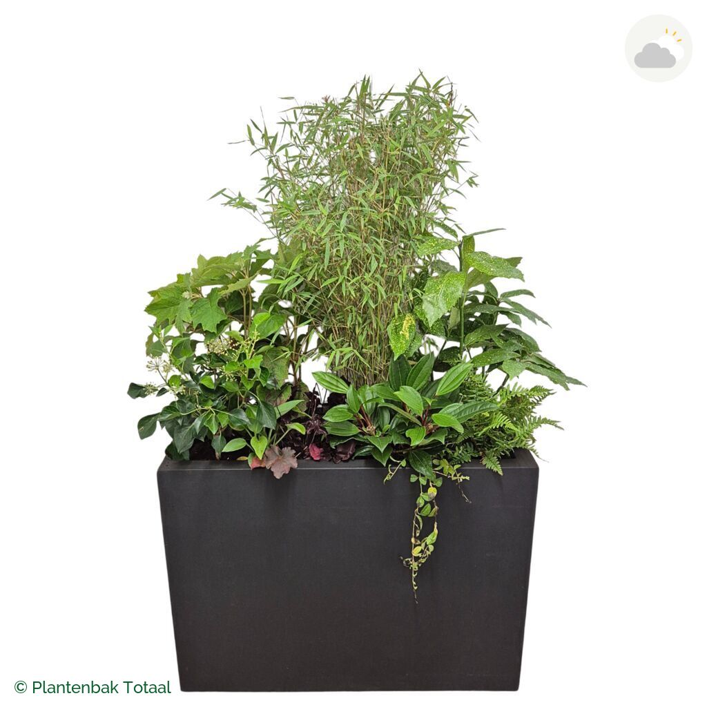productfoto van plantenbak Fiberstone Jort Set Amazone