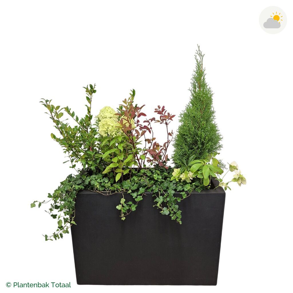 productfoto van plantenbak Fiberstone Jort Set Ardennen