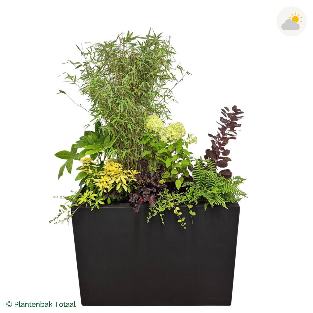 productfoto van plantenbak Fiberstone Jort Set Bohemen
