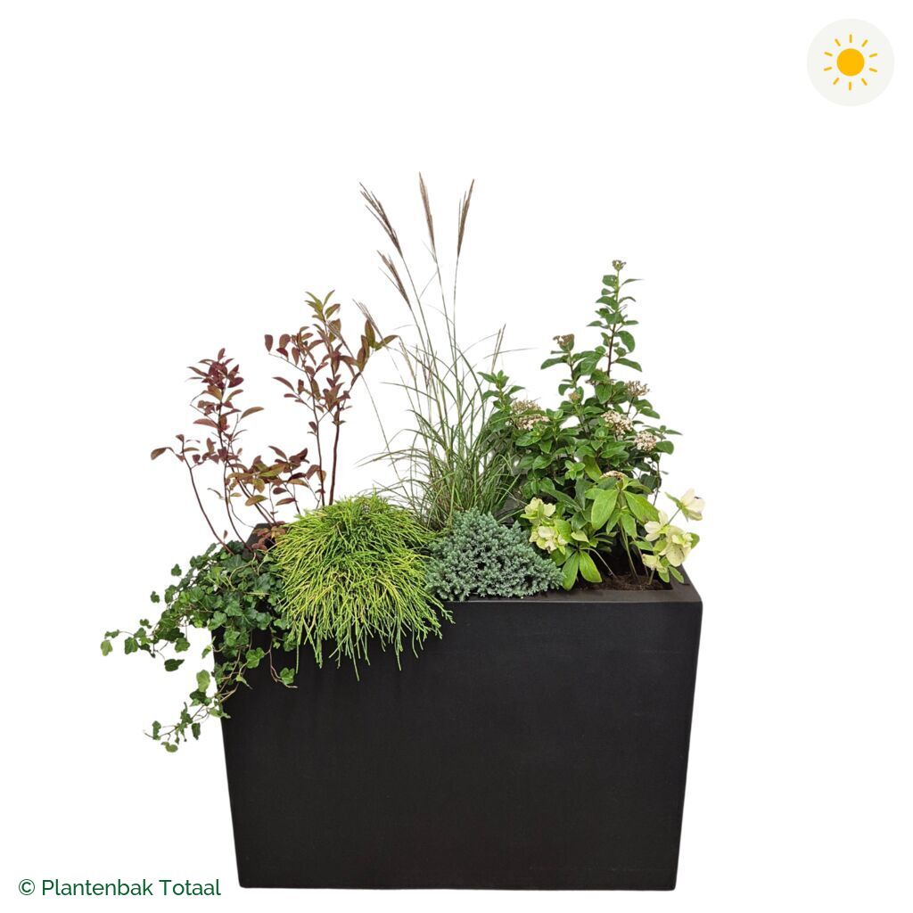 productfoto van plantenbak Fiberstone Jort Set Bretagne