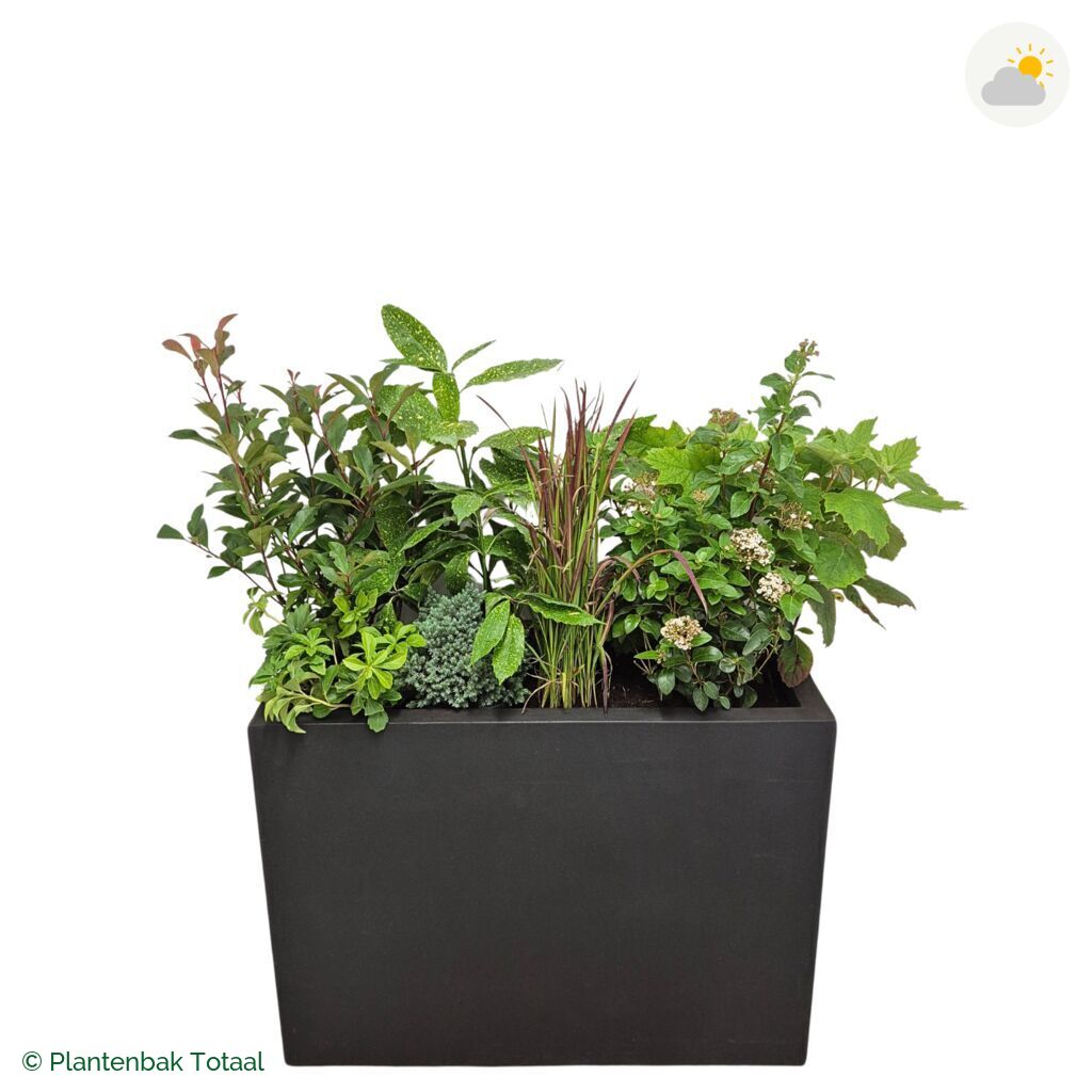 productfoto van plantenbak Fiberstone Jort Set Eifel