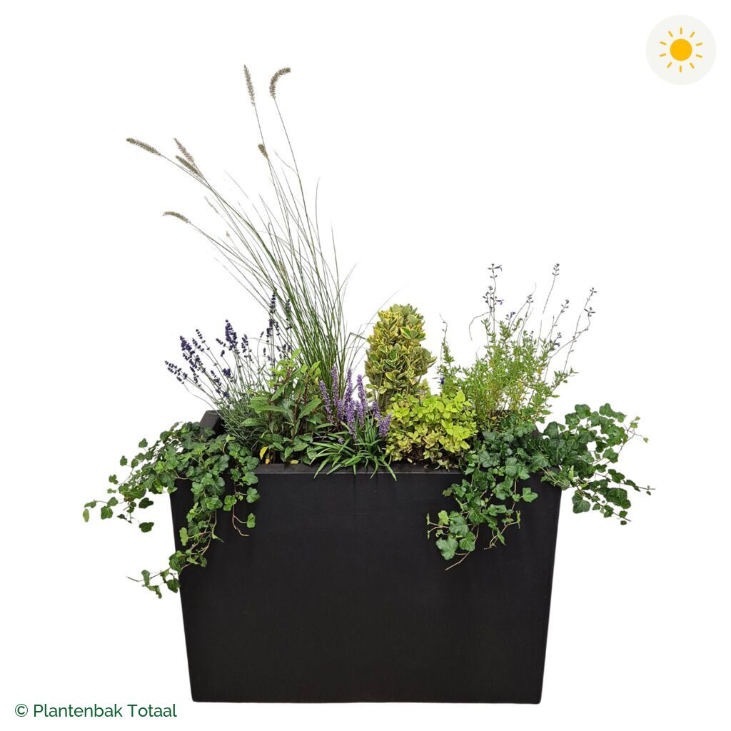 productfoto van plantenbak Fiberstone Jort Set Provence