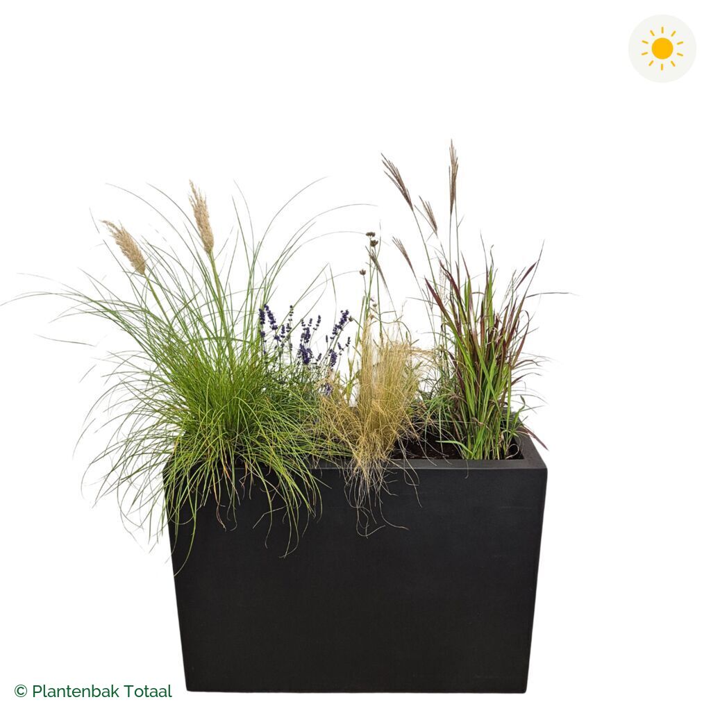 productfoto van plantenbak Fiberstone Jort Set Savanne