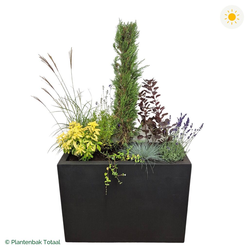 productfoto van plantenbak Fiberstone Jort Set Toscane