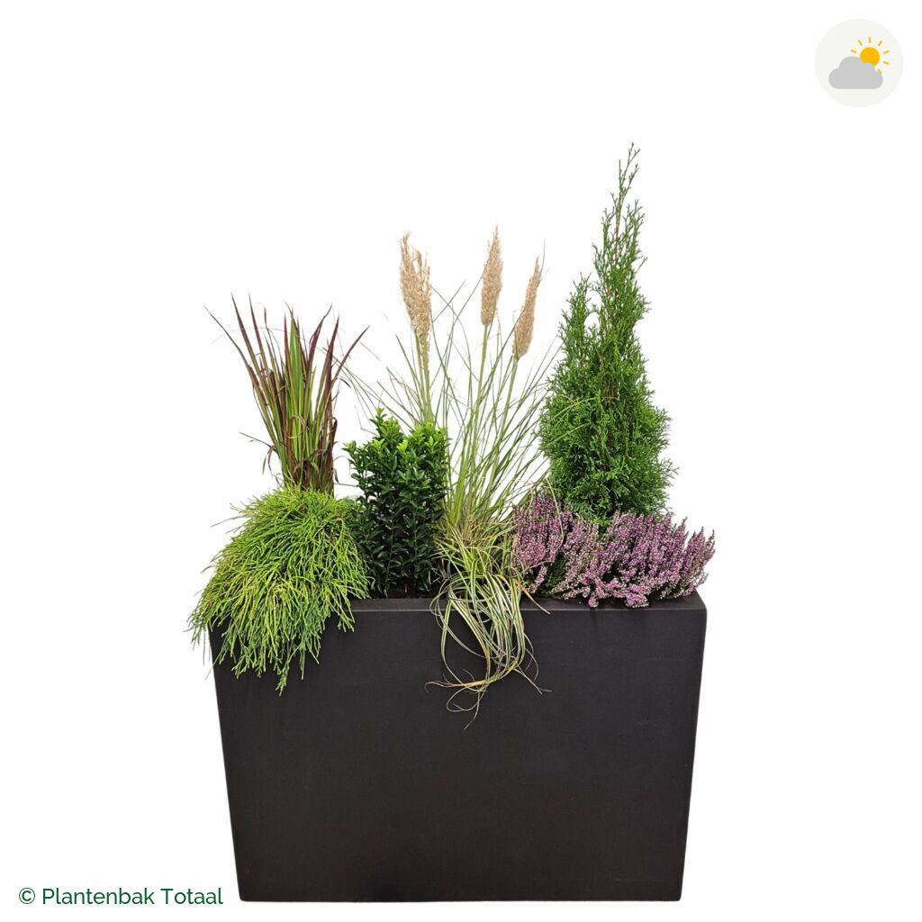 productfoto van plantenbak Fiberstone Jort Set Veluwe