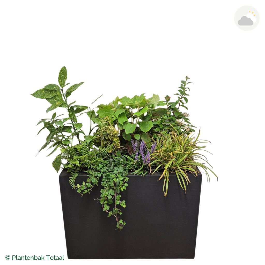 productfoto van plantenbak Fiberstone Jort Set York