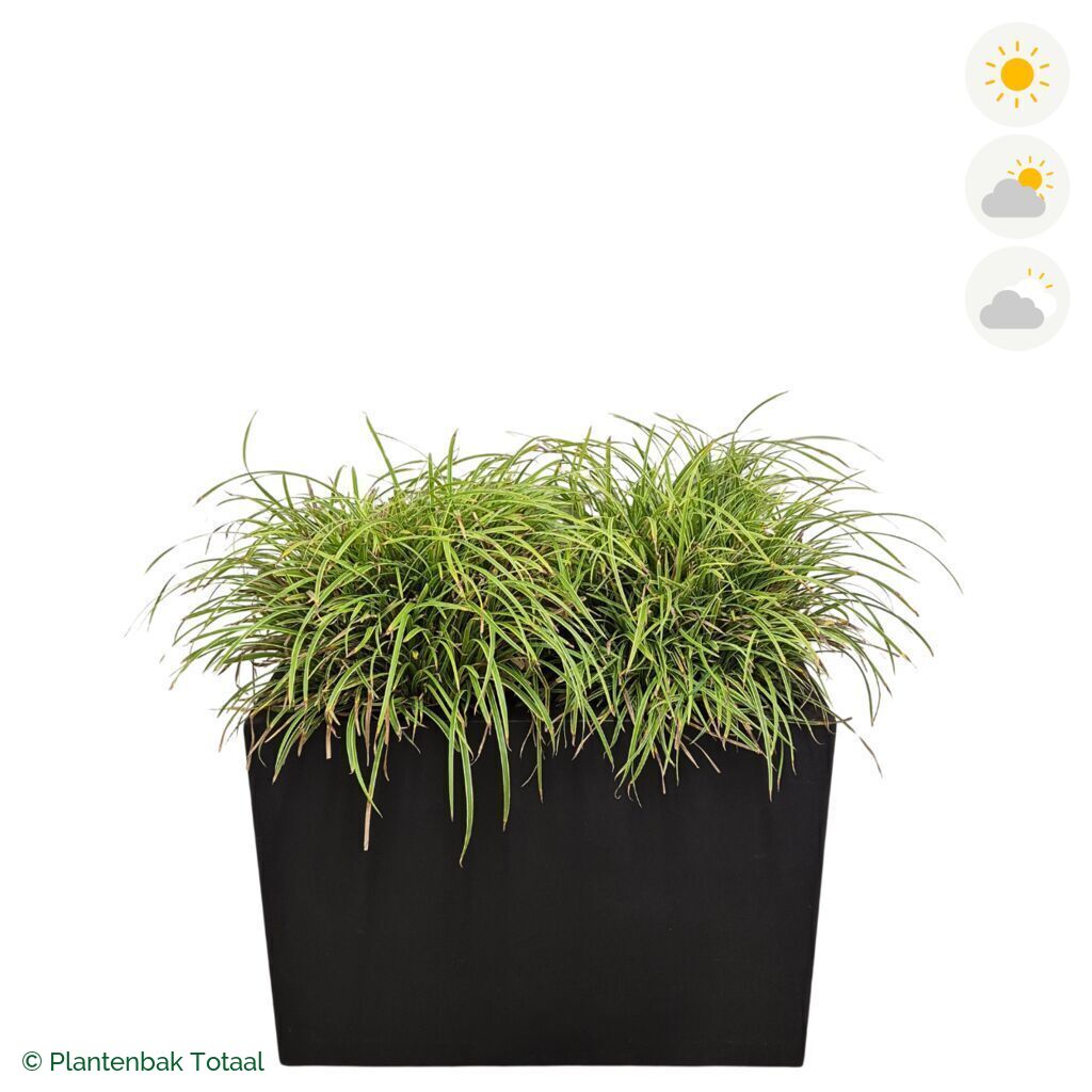 productfoto van plantenbak Fiberstone Jort Zegge