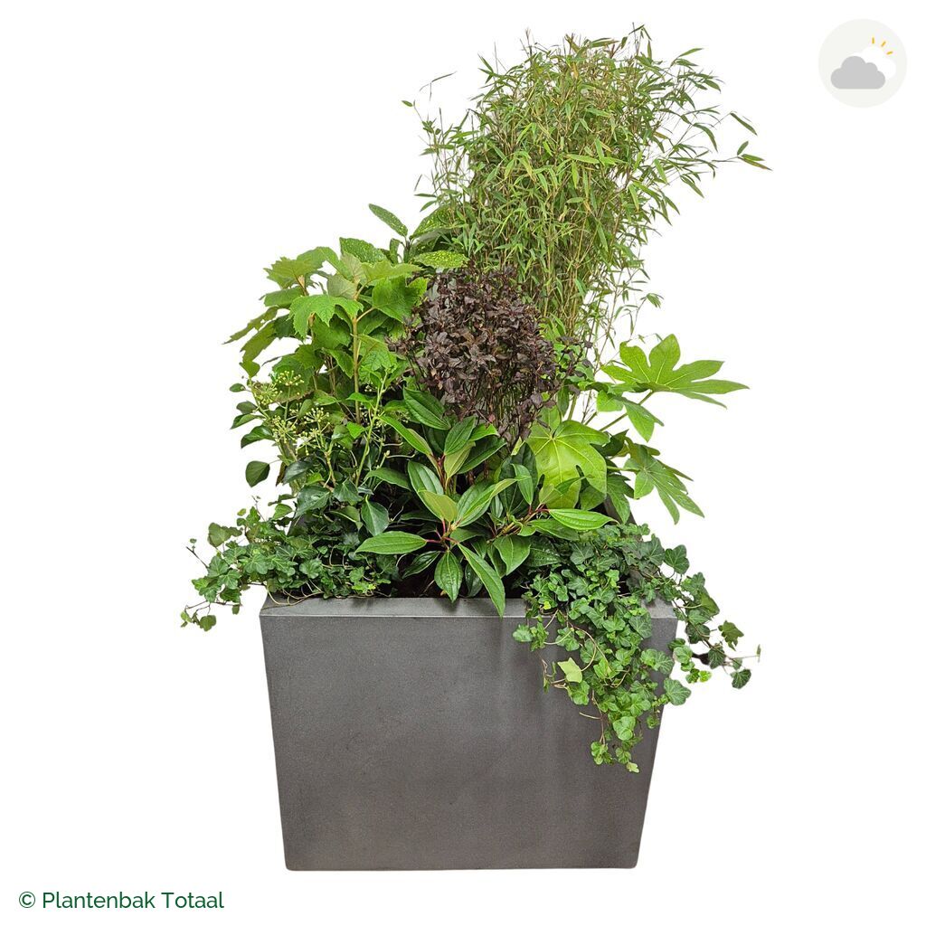 productfoto van plantenbak Fiberstone Jumbo Block Vierkant Set Amazone